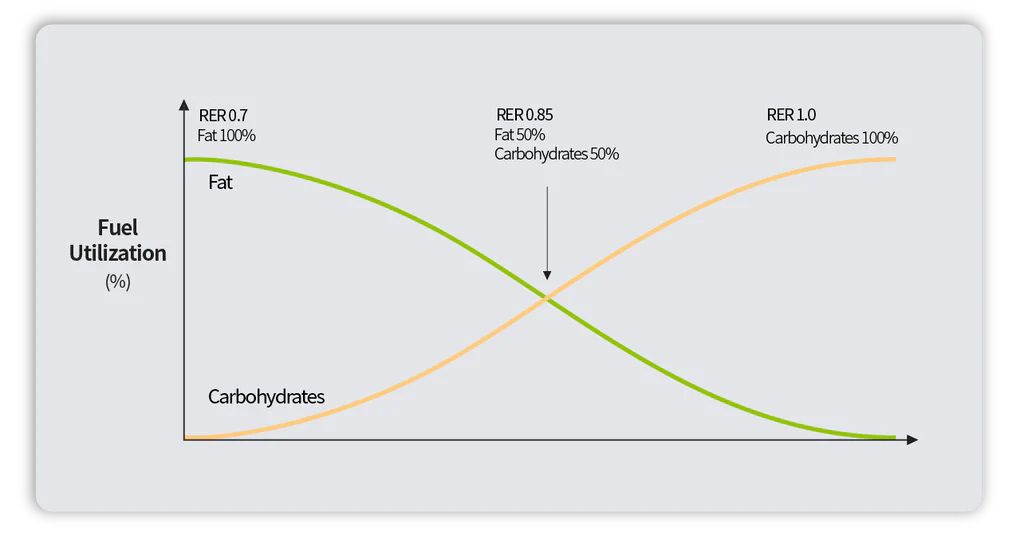 Ein RER-Diagramm zeigt den Stoffwechselanteil von Kohlenhydraten und Fett